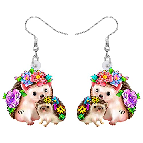 NEWEI Süß Acryl Igel Ohrringe Hängend Tropfen Für Damen Mädchen Tier Charme Ornamente Schmuck Deko Geschenk (Mehrfarbig) von NEWEI