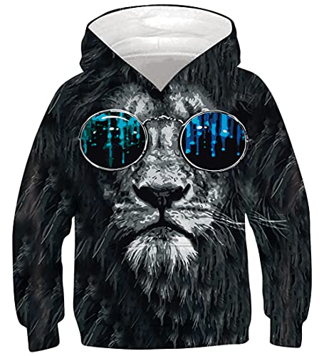 NEWISTAR Jungen Mädchen Kapuzenpullover Löwe Grafik Hoodie Kinder Langarm Pulli mit Kapuzen Sweatshirt Pullover,Lion,13-16 Jahre (Tag XL) von NEWISTAR