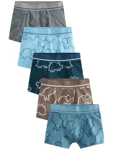 NEXT Gemusterte Unterhosen im 5er-Pack Linear Dino Print 5 Jahre von NEXT