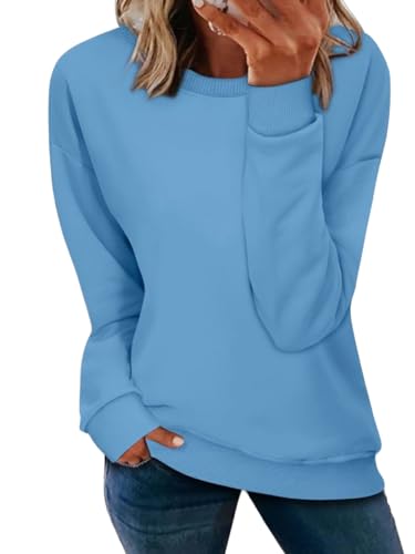 NEYOUQE Pullover Damen Winter Langarm Rundhals Sweatshirt Einfarbig Longsleeve Crewneck Pullover Loose Lässig Casual Sweatshirt Damen Blau L von NEYOUQE