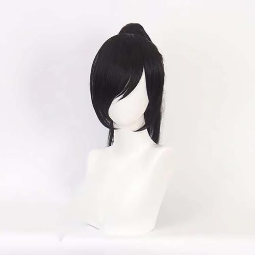 NEZIH Anime Coer Wig. Anime Dororo Hyakkimaru Männer Black Ponytail Perücke Cosplay Kostüm Hitzebeständige Synthetische Haare Halloween Party Perücken, Dekorative Accessoires von NEZIH