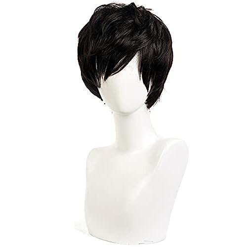 NEZIH Anime Coser Wig Spiel Persona 5 Joker Ren Amamiy Cosplay Perücken Hitzebeständig Kunsthaar Kurusu Akira Halloween Kostüm Party Karneval Wig, Mit Perückenkappe, Dekorativem Zubehör von NEZIH