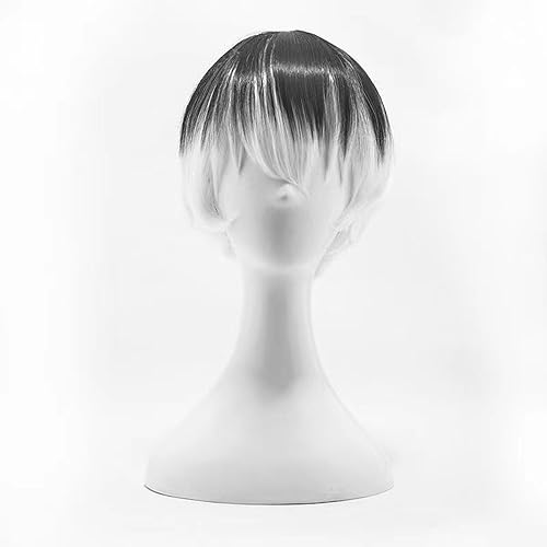 NEZIH Anime Cosplay Perücke, Tokyo Ghoul Sasaki Haise Perücke, Schwarz-Weiße, Flauschige, Leicht Gelockte Perücke, Mit Kostenloser Perückenkappe, Geeignet Für Halloween-Partys, Anime-Karneval von NEZIH