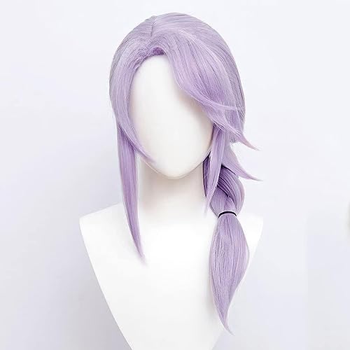 NEZIH Anime Perücke Für Final Fantasy XIV Hythlodaeus Cosplay Perücke,Purple Braid Perücke,Synthetisches Haar,Halloween Perücke,Für Karneval Weihnachten, Mit Perückenkappe, Dekoratives Geschenk von NEZIH