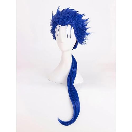 NEZIH Fate/Stay Night Cú Chulainn Cosplay-Perücken, Hochtemperaturfaser, Blaue Zopfperücke, Mit Kostenloser Haarkappe, Halloween-Dekorationszubehör, Anime-Geschenk von NEZIH