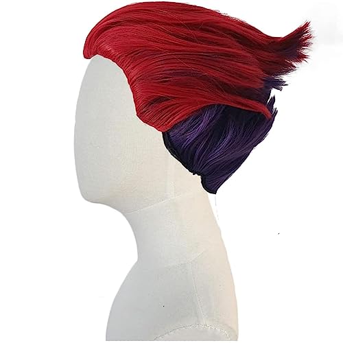 NEZIH Wig Anime Cosplay Anime Cosplay Perücken, Hisoka Cosplay Perücke for Hunter Requisiten Zubehör Mit Freier Perückenkappe, Geeignet Für Halloween-Party, Nachtleben, Karneval, Anime-Geschenk von NEZIH