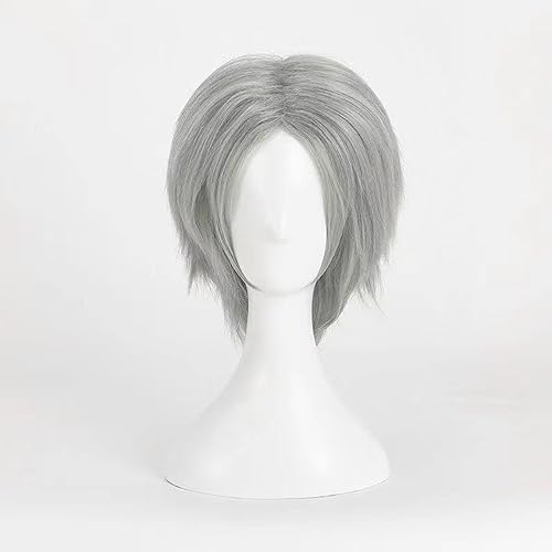 NEZIH Wig Anime Cosplay Anime Devil May Cry 5 Dante Silbergraue Mittelscheitelperücke Cosplay Hair, Geeignet Für Halloween-Partys, Anime-Karneval, Mit Perückenkappe, Anime-Geschenk von NEZIH