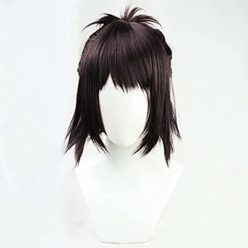 NEZIH Wig Anime Cosplay Hanji Zoe Cosplay Perücke Attack on Titan Final Season Dunkelbraun Anime Kunsthaar Halloween Karneval Party Rollenspiel + Perückenkappe, Dekorative Accessoires von NEZIH