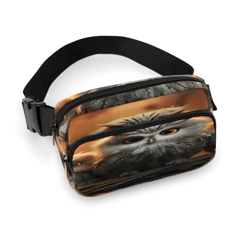 NHYDSPQ Hüfttasche, Gürteltasche mit niedlichem Eulen-Druck, modische Gürteltasche für Männer und Frauen, Gürteltasche mit verstellbarem Riemen, 20 x 13 cm, Stil, 20 x 13 cm, modern, Stil:, 20x13cm, von NHYDSPQ
