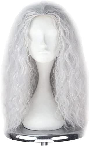 NICHANGHUA Hexenperücke Alte Dame Perücke Hexenkostüm for Frauen Lange Graue Perücke Cosplay Halloween Haarersatz Perücke Halloween Perücke for Cosplay (Farbe : 1pcs) von NICHANGHUA