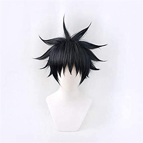 NICHANGHUA Kurz Silber Lila Farbverlauf Anime Jujutsu Kaisen Cosplay Kostüm Satoru Gojo Perücke for Jungen Männer mit Perückenkappe im Lieferumfang enthalten (Farbe : Fushiguro Megumi) von NICHANGHUA