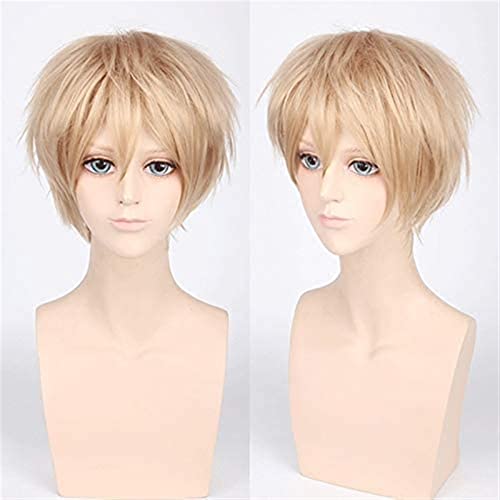 NICHANGHUA Kurzwellige rot Silbergrau hell goldgelbgrün rosa lila orange weiße synthetische haarbons universal Cosplay Wig +wigcap 2 von NICHANGHUA