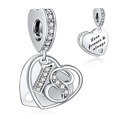 NINGAN 18 Charme-Charms-Anhänger 925 Sterling Silber Charm Bead für Chamilia und europäische Armbänder und Halsketten von NINGAN