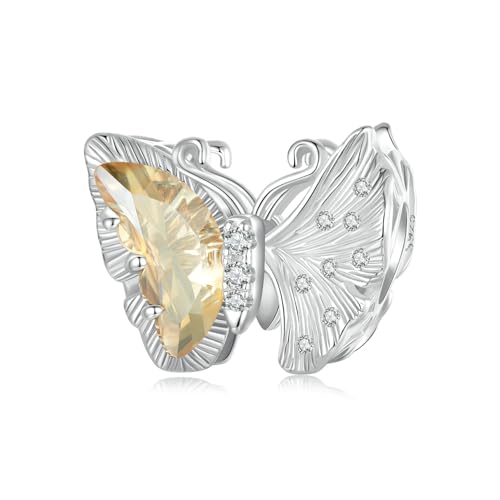 NINGAN 925 Sterling Silber Charme Ginkgo Schmetterling Perle kompatibel mit Frauen Armband Perle 5A Zirkon Charme, Familie und Freunde Geburtstagsgeschenke von NINGAN