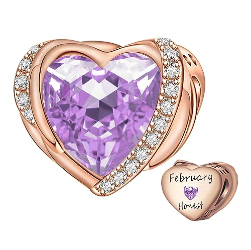 NINGAN Roségold Februar Birthstone Charms für Frauen Charms Armband, Engel Flügel 925 Sterling Silber Liebe Herz Bead Anhänger Graviert Ehrgeizig, Geburtstag für Mädche von NINGAN