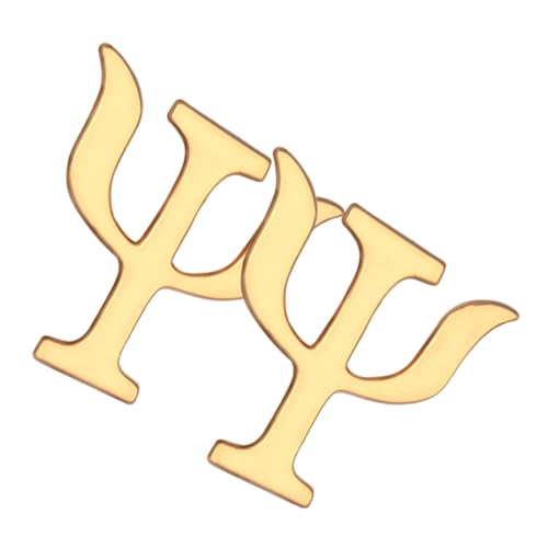 NIYANGLE 2 Stück Retro Broschennadeln aus Robustem Legierungsmetall Dekorative Anstecker für Damen und Herren Vintage Design Vielseitig für Kleidung Pullover Mützen und Accessoires von NIYANGLE