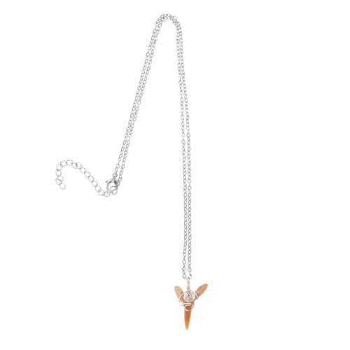 NIYANGLE Vintage Haifischzahn Halskette mit Silberner Kette Handgefertigter Fossiler Haizahn Anhänger Stilvolles Herren Jungen Schmuckstück für Strand und Alltag von NIYANGLE