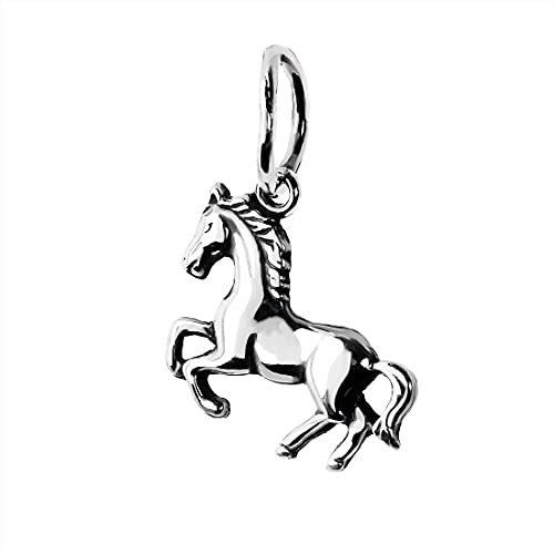 NKlaus 925 Sterling Silber Anhänger kleine Rennpferd Kettenanhänger Pferd oxydierte 10789 NKlaus 925 Sterling Silber Anhänger kleine Rennpferd Kettenanhänger Pferd oxydierte 10789 von NKlaus
