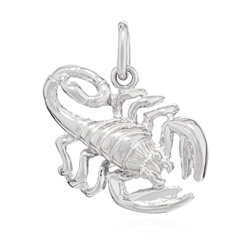 NKlaus Kettenanhänger Sternzeichen Scorpion 925 Silber glanz Anhänger Zodiac Horoshop 14180 von NKlaus