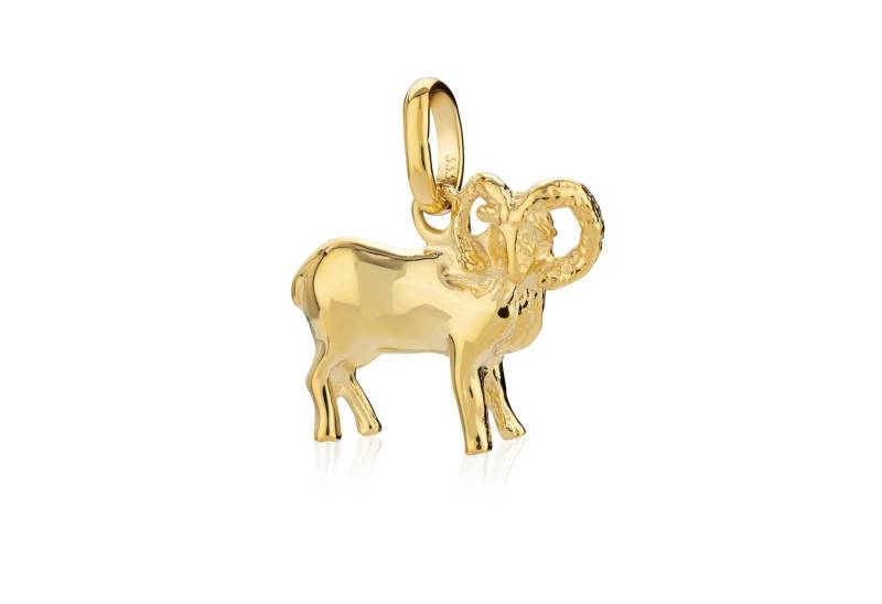 NKlaus Sternzeichenanhänger Kettenanhänger Widder Sternzeichen 333 Gelb Gold 8 von NKlaus