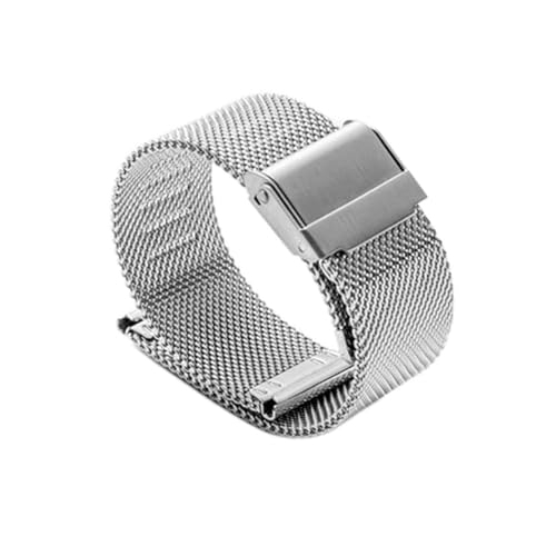 NLNKDTDPAK Edelstahl Armband 12mm 14mm 16mm 20mm 22mm Gewebe Watchstrap for Frauen Männer Uhr Zubehör(Silver,20mm) von NLNKDTDPAK