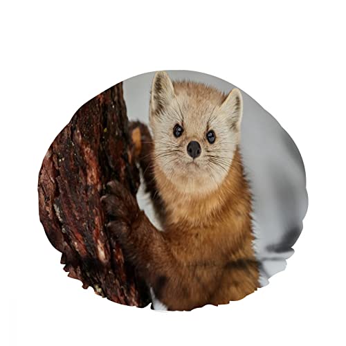 Doppelte wasserdichte Bade-Duschhaube, American Pine Marten Cute Climb Trees Beared, wiederverwendbar, modische Duschmütze für Damen, Schönheit, Bad, Haar, Spa, Zuhause, Hotel, Reisen von NLWQEKV