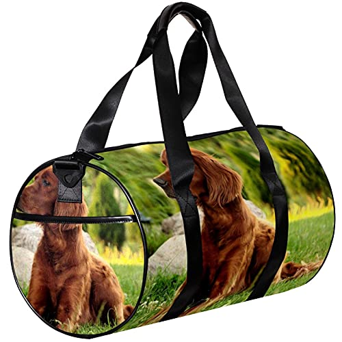 Turnbeutel, kleine Reisetasche, Sport-Einkaufstasche für Yoga, Garten, brauner Hund, Outdoor-Fitnesstasche, Handgepäck von NLWQEKV