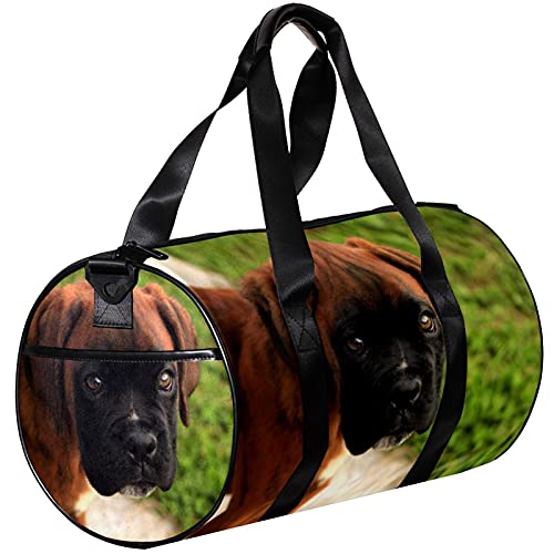 Turnbeutel, kleine Reisetasche, Sport-Einkaufstasche für Yoga, Welpe, brauner Boxer, Hund, Outdoor-Fitnesstasche, Tragetasche von NLWQEKV