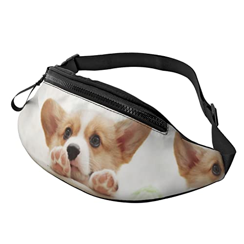 Gürteltasche mit niedlichem Corgi-Druck, Hüfttasche für Damen und Herren, Hüfttasche mit verstellbarem Gürtel für Freizeit, Reisen, Wandern, Schwarz, Einheitsgröße von NOKOER