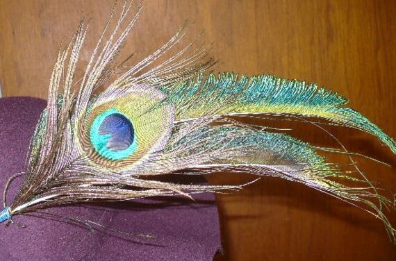 Hatpin, Pfauenfeder Hatpin, Pfauenfeder von NOLAdreamers