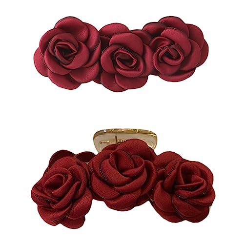 NOLITOY Haarklammern 2er-pack Haarnadel Modisches Haar-accessoire Für Frauen von NOLITOY