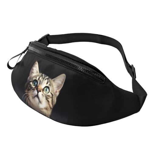 Bauchtasche für Damen und Herren, verstellbarer Gürtel, lässige Brusttasche, Bauchtasche für Reisen, Sport, Laufen, Wandern, Hüfttaschen, katze, Einheitsgröße von NONHAI