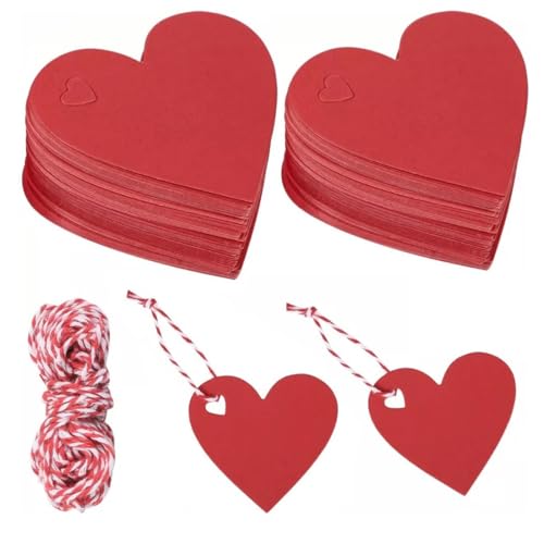 NOPKESV 100 Stück DIY Glücksbringer Geschenkanhänger (Klein) (Rot,Rosa) von NOPKESV