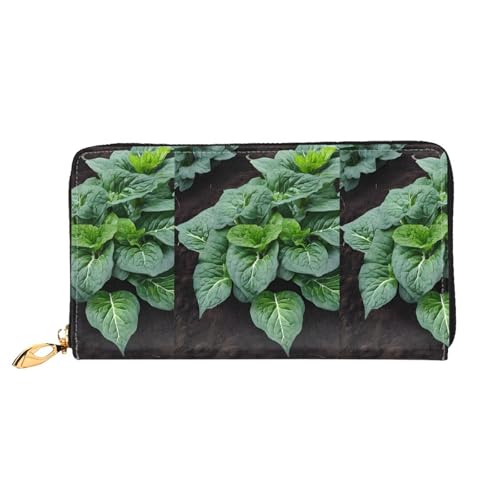 NPOREJKNGF Grüne Sukkulente stilvolle Ledergeldbörse für modisch bedruckte Geldbörse mit mehreren Kartenfächern, Münzfach mit Reißverschluss und Ausweisfenster, Schwarz , Einheitsgröße von NPOREJKNGF