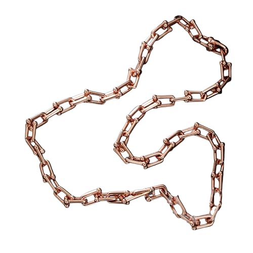 NTALJC Hufeisen Halskette für Frauen und Männer, Hufeisenkettenanhänger, Tiff Classic U-förmige Hufeisen-Anhänger-Halskette, schöne Pferdehufkette Kette von NTALJC