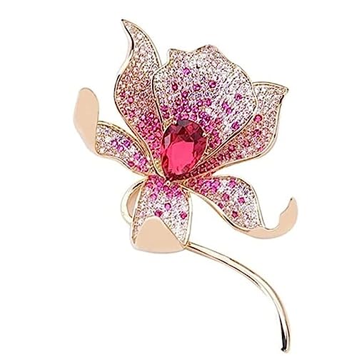 NTIYOU Brosche Weihnachtsbrosche Haarbrosche Kragenclips Abzeichen Schmuck Unisex Geburtstag Hochzeit Pin für Frauen von NTIYOU