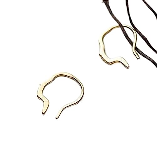 Ohrringe Damen Kleine Loch Seitliches Gesicht Hoop Ohrringe Einfach und elegant 925 Sterling Silber Modeschmuck Dangle Mädchen (Color : B, Size : 1 Pair Gold) von NTIYOU