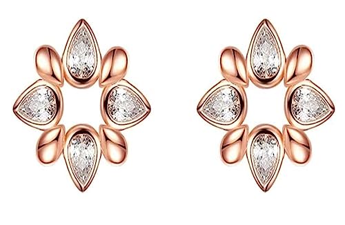 Ohrringe Ohrringe Schneeflocke Sterling Silber Ohrringe Damen High-End Temperament Netz rot Explosion Mode Ohrschmuck Baumeln Mädchen von NTIYOU