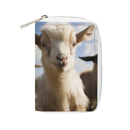 NTVOWPZO Kreditkartenetui für Herren, weiches Visitenkartenetui, niedliches Ziegenkartenetui mit Reißverschluss, Stil, 16 x 11,5 cm, Stil, 16 x 11,5 cm, Stil:, 16x11.5cm von NTVOWPZO
