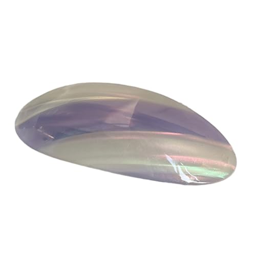 Blumen-Haarspange für Damen, einfaches Design, modische Accessoires, praktische Acetat-Haarklammer für verschiedene Farben und Stile von NUEAYMS