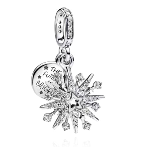 NUNUYAYA Damen Charm Anhänger für Armband 925 Sterling Silber Skeletonized Star Engraving Dangle Charms Beads passend Armband Halskette,Charm Anhänger für Europäischen Armbänder Frauen Mädchen von NUNUYAYA