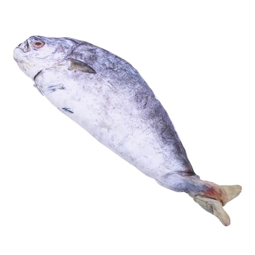 NUOBESTY Fischförmiges Federmäppchen Lustige und wasserdichte Stiftetasche für Schule Büro und Make Up mit Großzügigem Stauraum für Schreibwaren und Kleine Elektronik von NUOBESTY