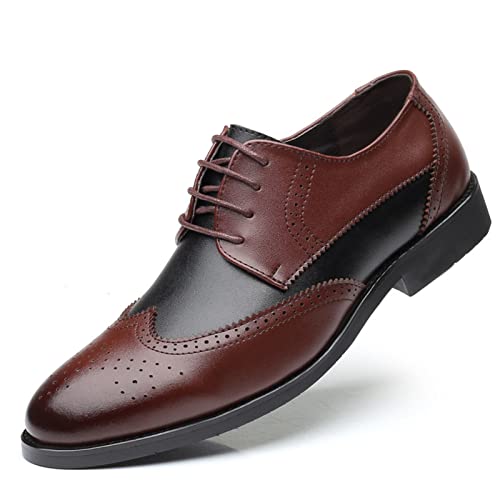 NUURO Schwarz Anzugschuhe Herren Business Schuhe Klassischer Schnürschuhe Derby Oxford Hochzeit Brogue Schuhe,Braun,48 EU von NUURO