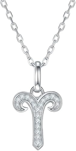 NXNONEPD Halskette Silber glänzende Halsketten Sterling zwölf Sternbilder Moissanit Inlay Zodiac Anhänger für Frauen Schmuck von NXNONEPD