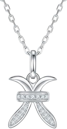 NXNONEPD Halskette Silber glänzende Halsketten Sterling zwölf Sternbilder Moissanit Inlay Zodiac Anhänger für Frauen Schmuck von NXNONEPD