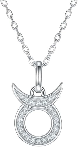 NXNONEPD Halskette Silber glänzende Halsketten Sterling zwölf Sternbilder Moissanit Inlay Zodiac Anhänger für Frauen Schmuck von NXNONEPD