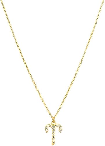 NXNONEPD necklace Sterling Silver Chain,Zodiac Signs Elegant Ladies Ancient Symbols Zirconia Choker Horoscope Symbol Pendant Jewelry For Girls Birthday Present von NXNONEPD