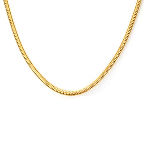NZVCQVPU Halskette Ketten für Herren, Edelstahl-Halskette für Damen, Schlangenkette, Halskette 39,1–61 cm, Einheitsgröße, Standard, Standard von NZVCQVPU