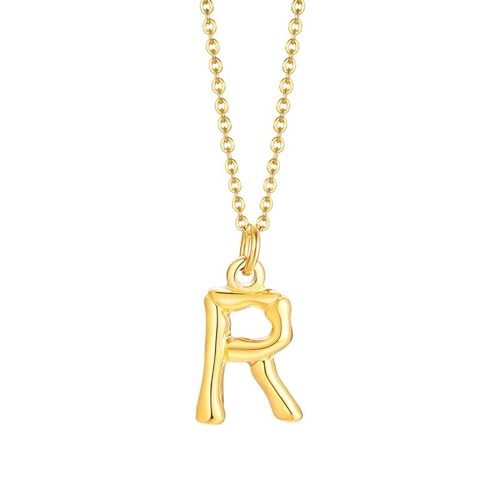 NZVCQVPU Halskette mit Anhänger für Damen, Rapper-Halskette für Herren, Edelstahl, Initialen-Anhänger mit 50,8 cm langer Kette, Einheitsgröße, Standard, Standard von NZVCQVPU