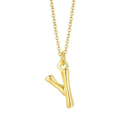 NZVCQVPU Halskette mit Anhänger für Damen, Rapper-Halskette für Herren, Edelstahl, Initialen-Anhänger mit 50,8 cm langer Kette, Einheitsgröße, Standard, Standard von NZVCQVPU